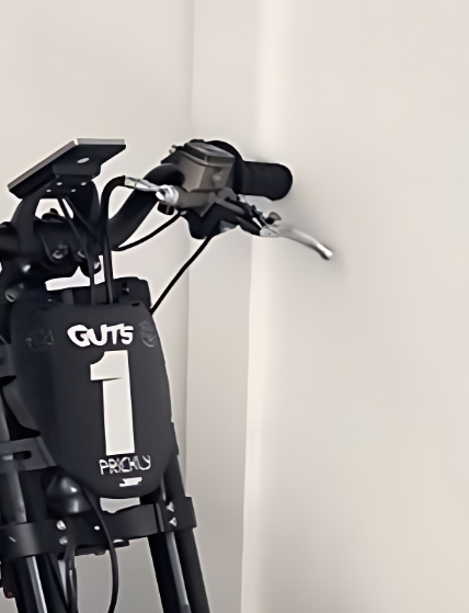 ULTRA BEE BRAKES FOR FREEGO!